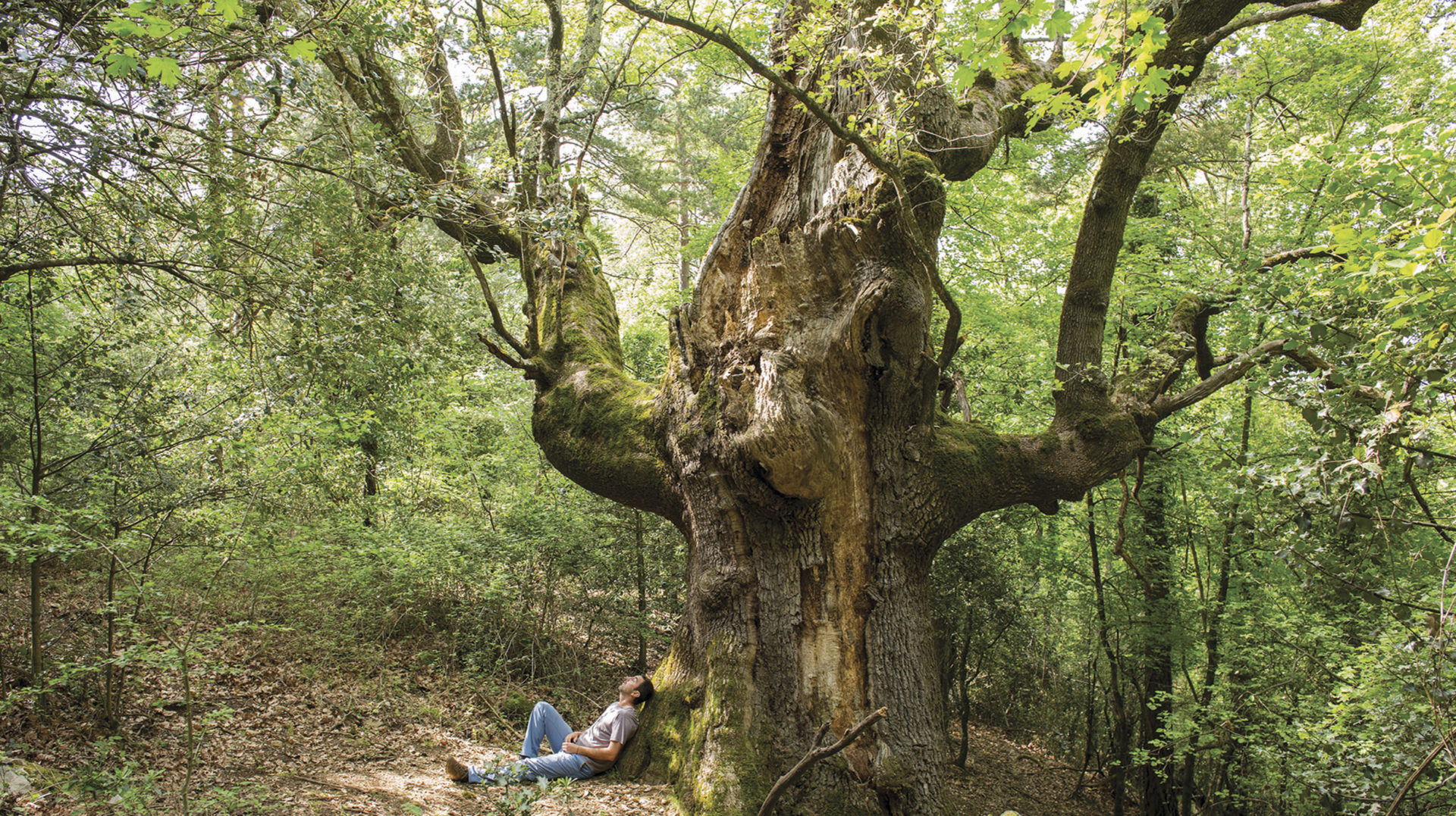 Presentació del llibre 'Caminant per l'Altra Garrotxa'