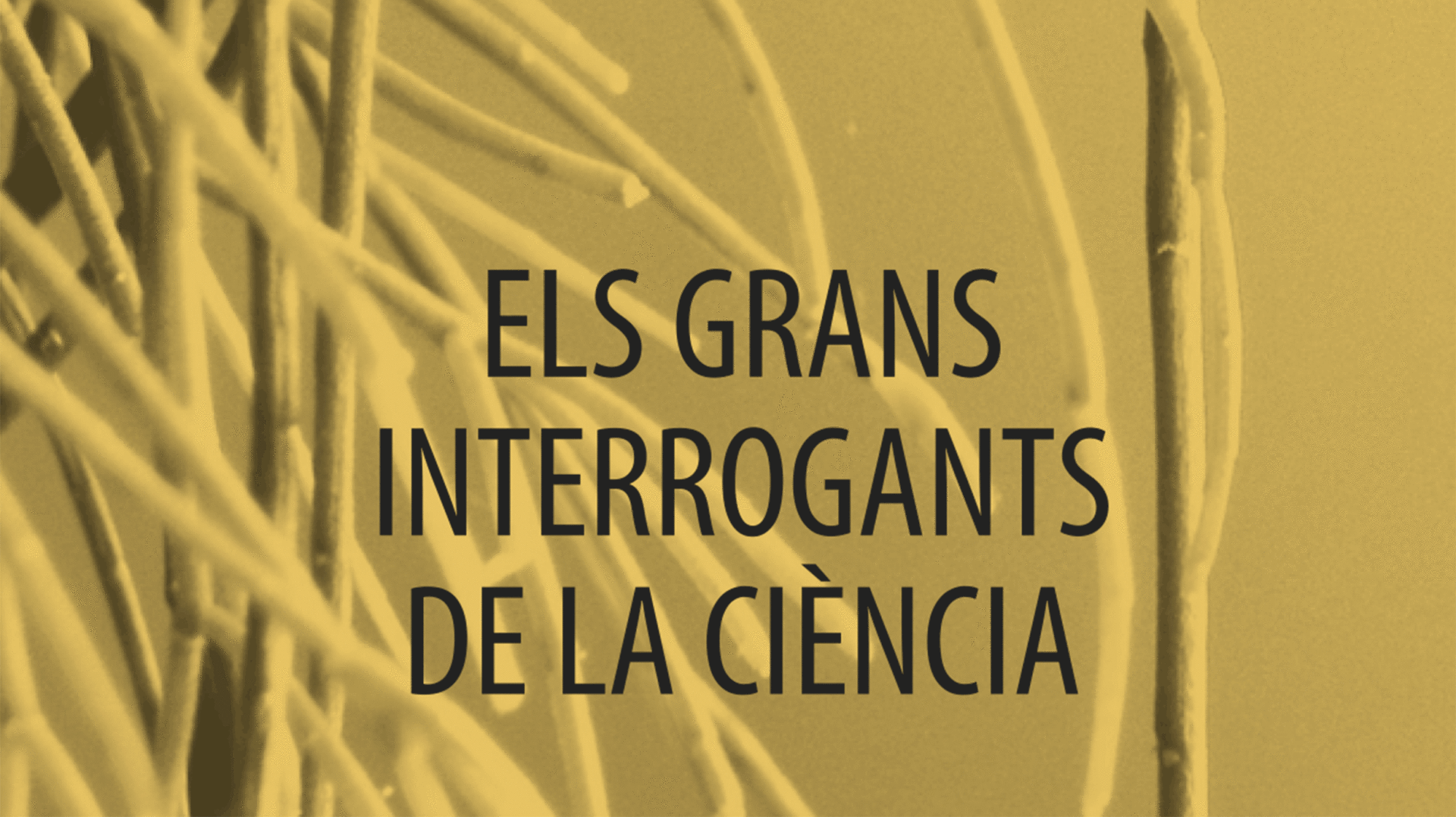 Com Crispr/Cas9 i l’enginyeria genètica canviaran la medicina del futur?