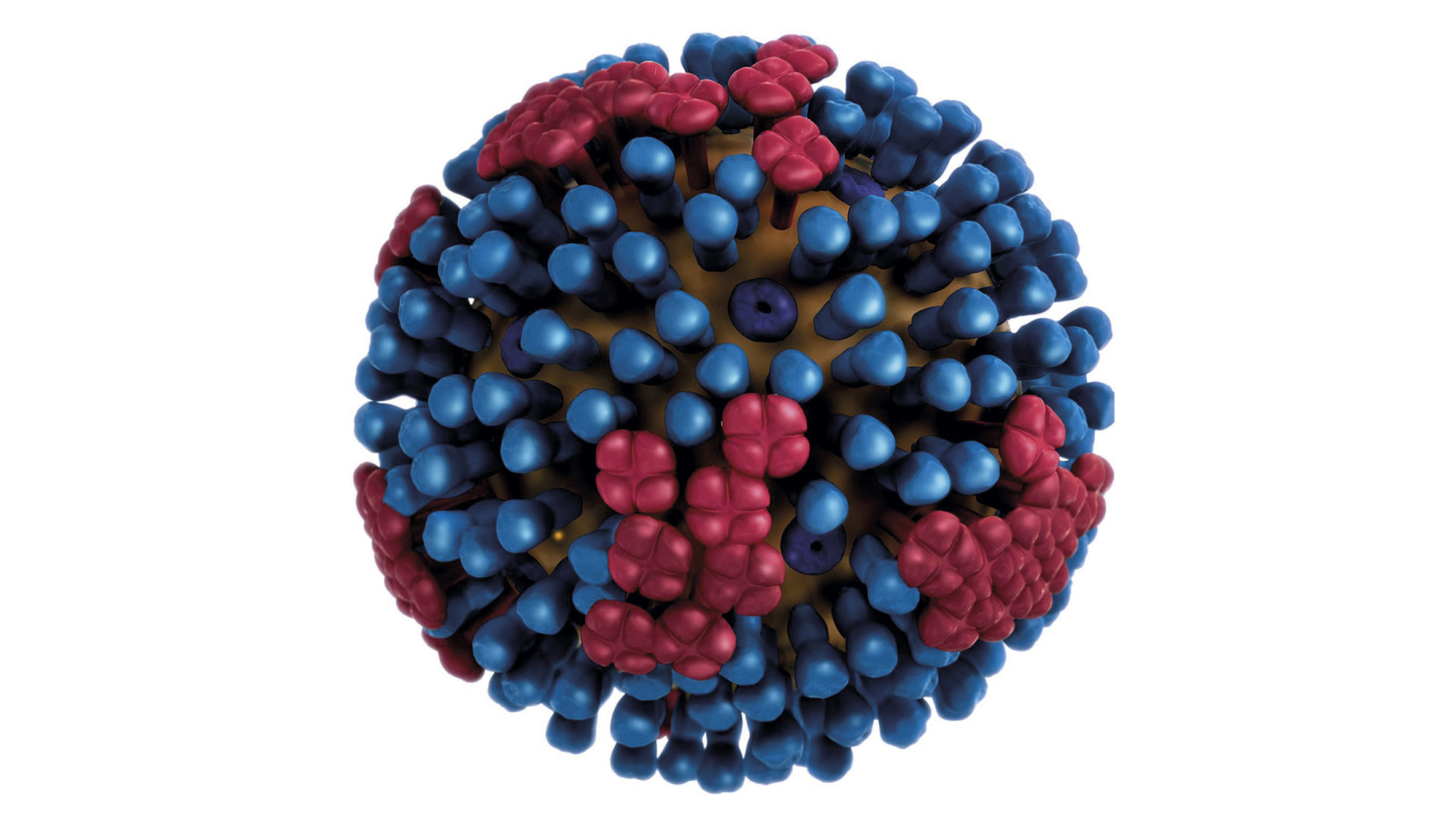 La grip: una malaltia més seriosa del que ens pensem. Podem prevenir-la?
