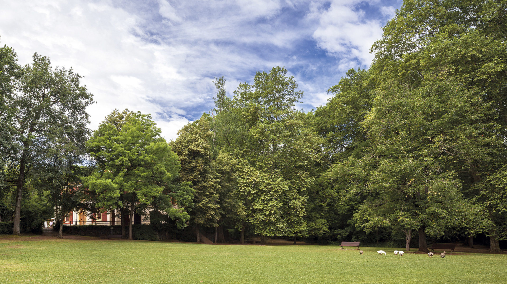 Itinerari Personal: L’Olot d’Ester Sala