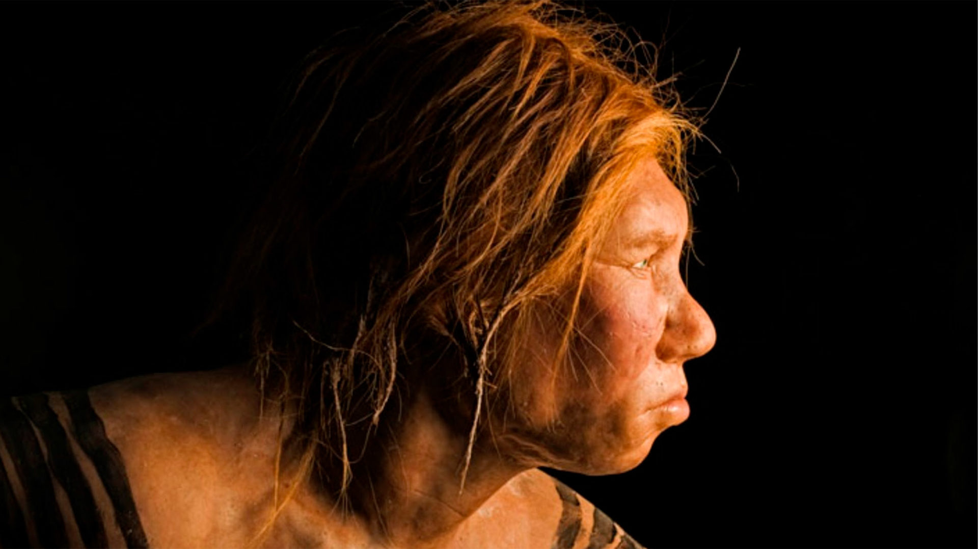 Inauguració de l’exposició “Neandertals a Catalunya”
