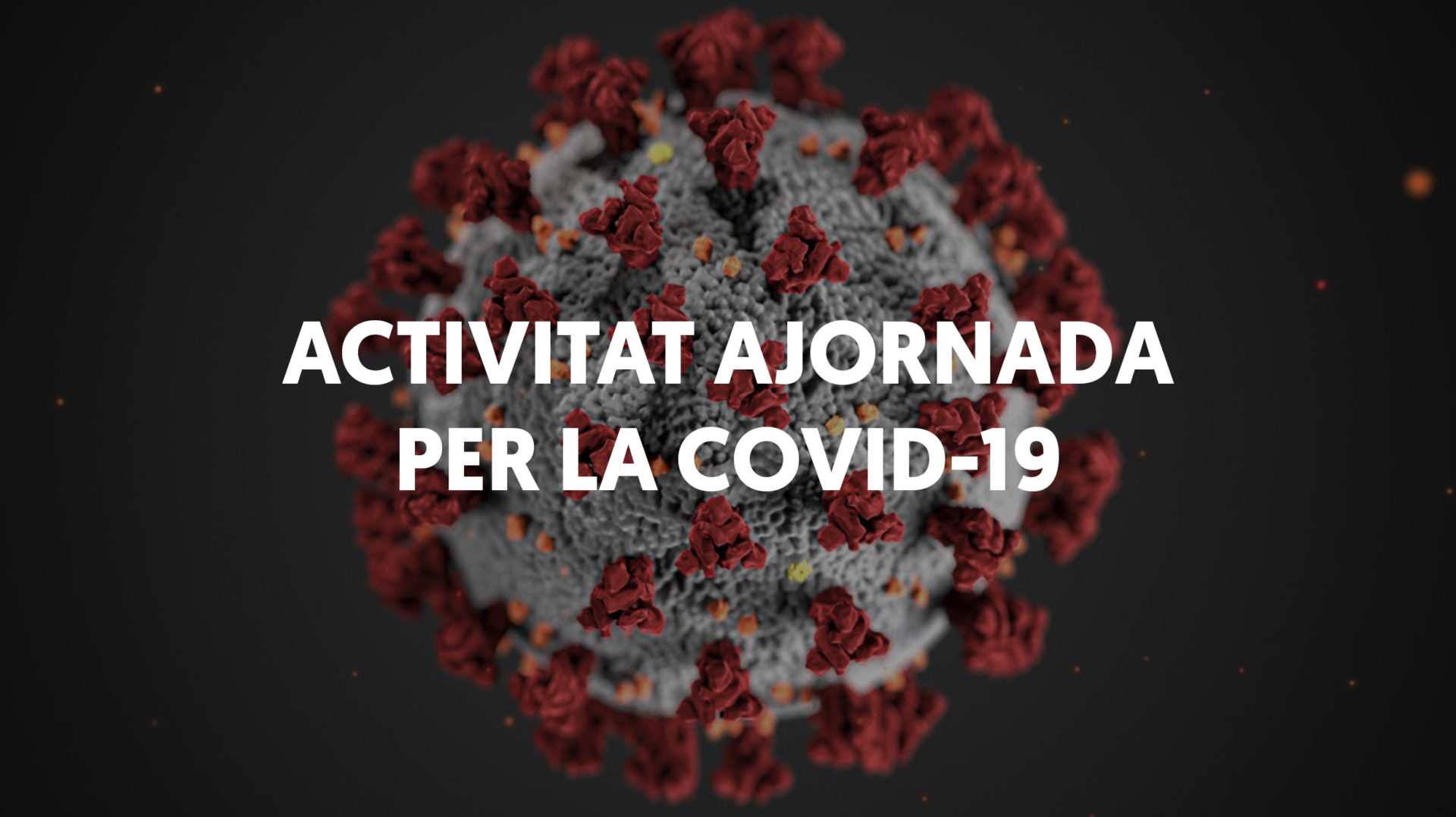 Nou mesos de marató científica. Què hem après sobre la Covid-19?