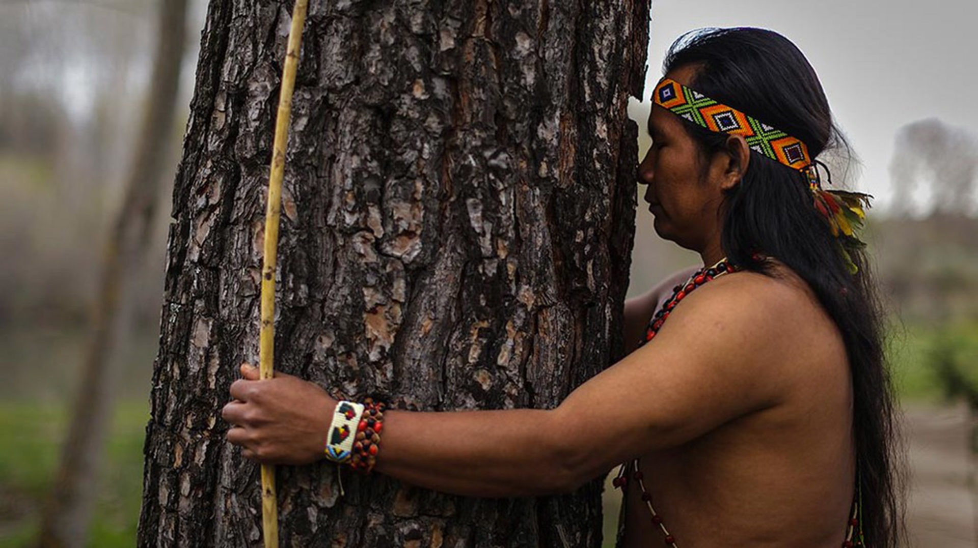 L’Ull viu: ‘Fluvius’ i ‘Hijos de la tierra’