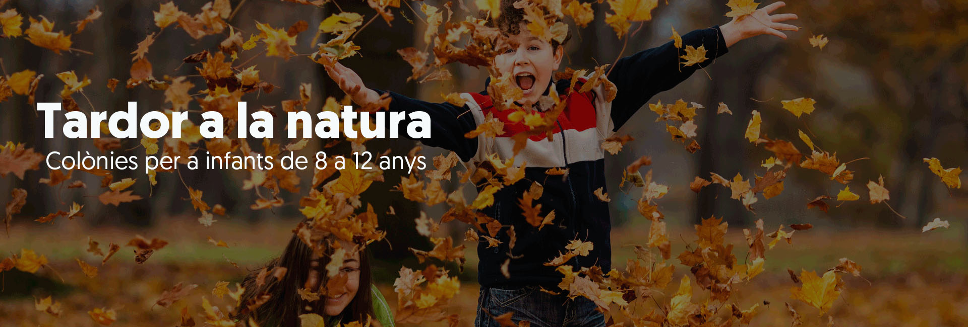 tardor a la natura