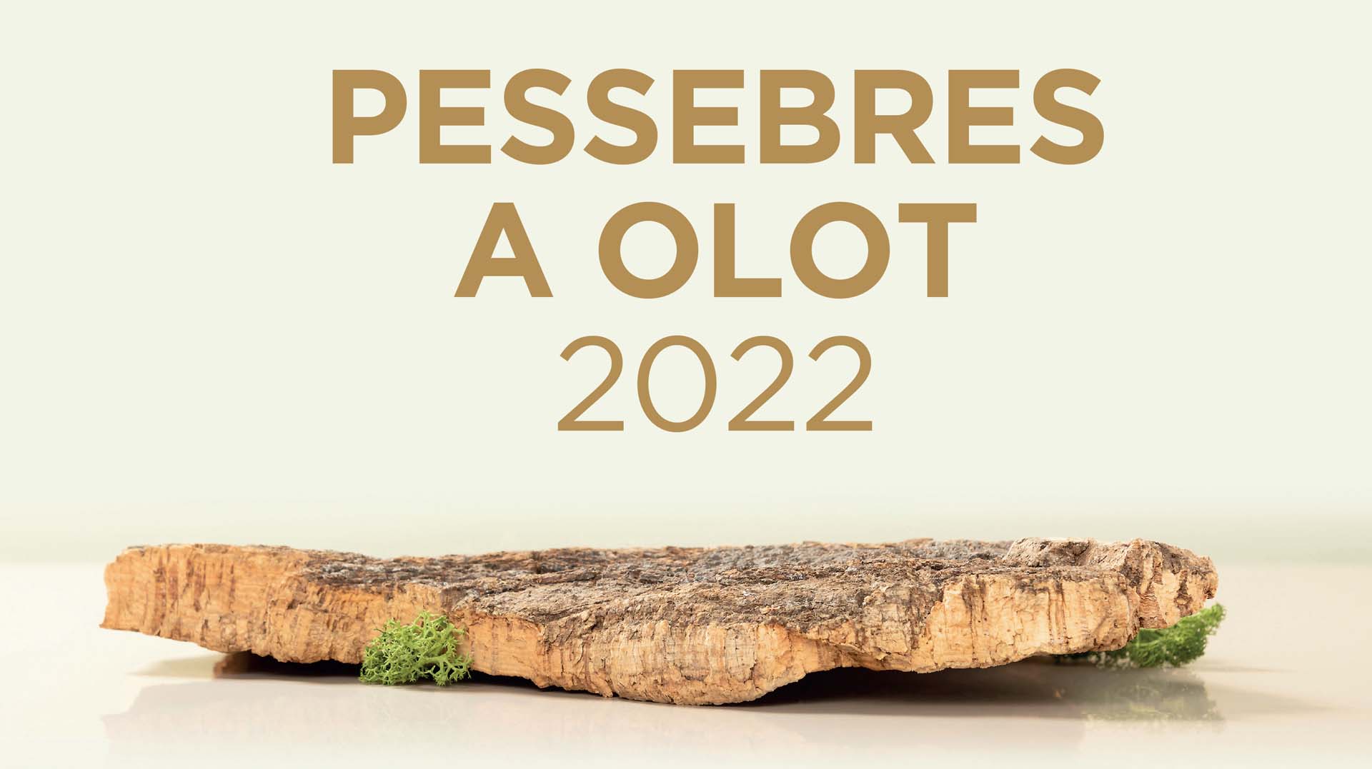 Inauguració de Pessebres a Olot