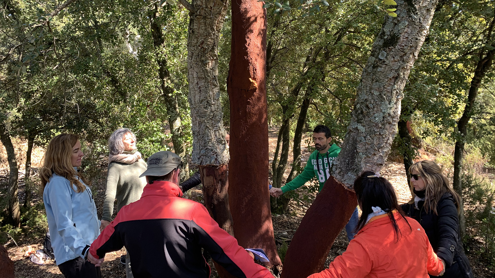 Banys de bosc. La teràpia de la natura