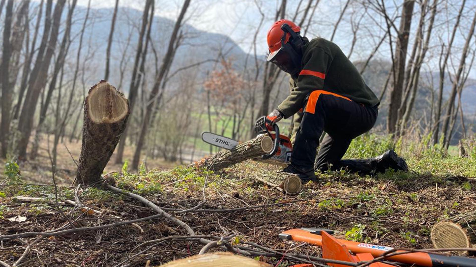 La gestió forestal d’avui donarà resposta als reptes de demà?