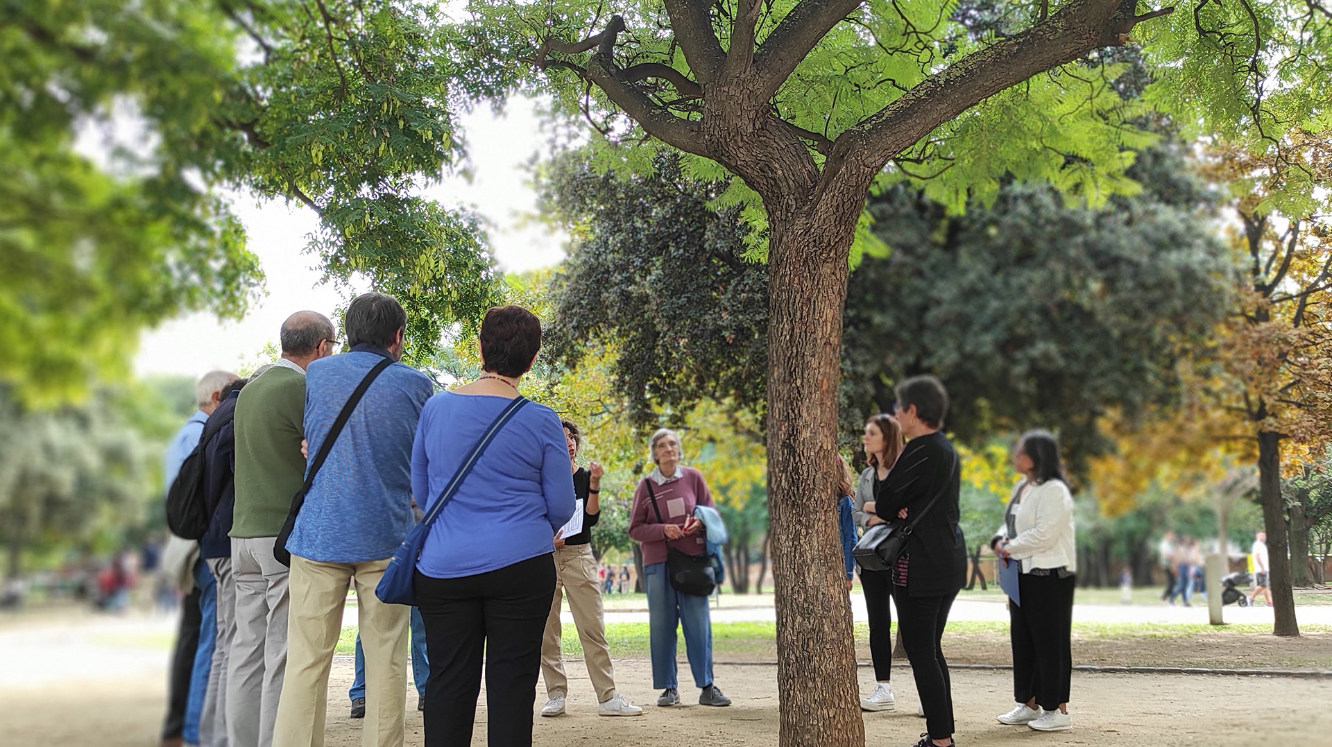 Taller: “De l’arbre al moble. Del Parc Nou a l’exposició”