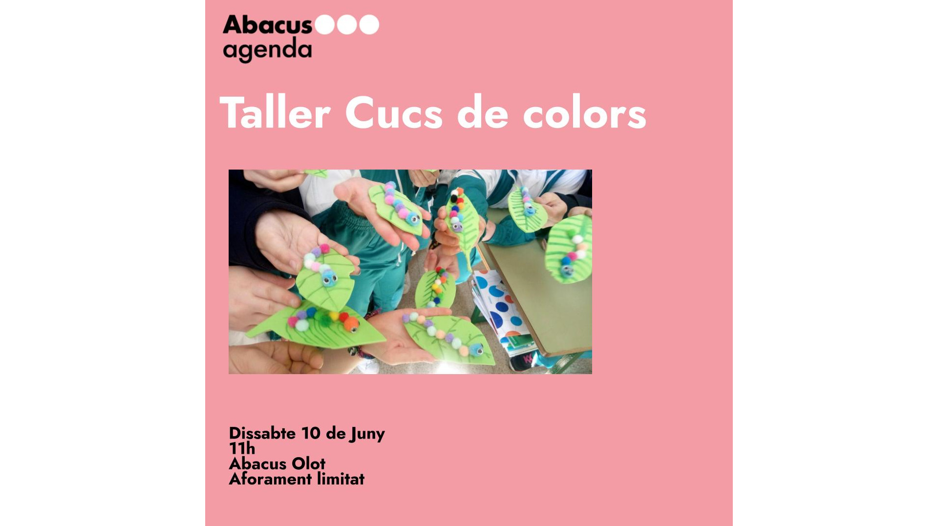 Taller Cucs de colors