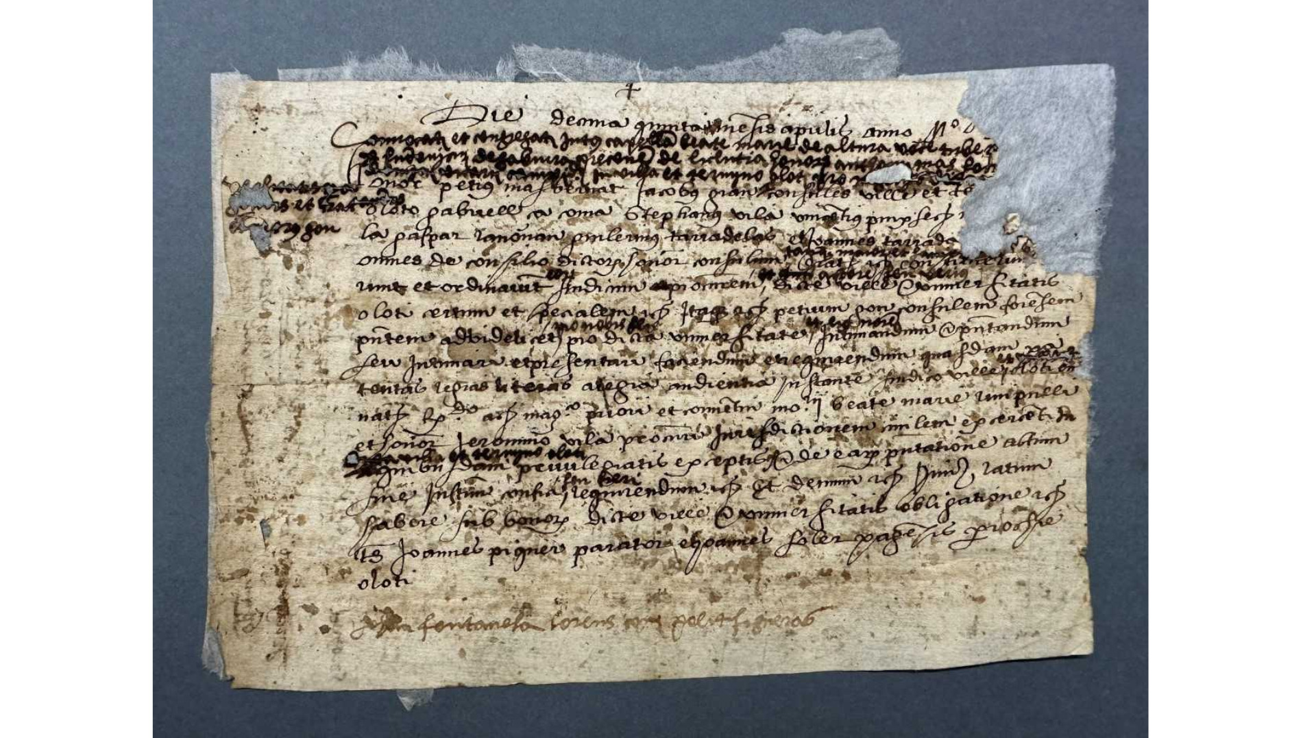 La vitrina del trimestre