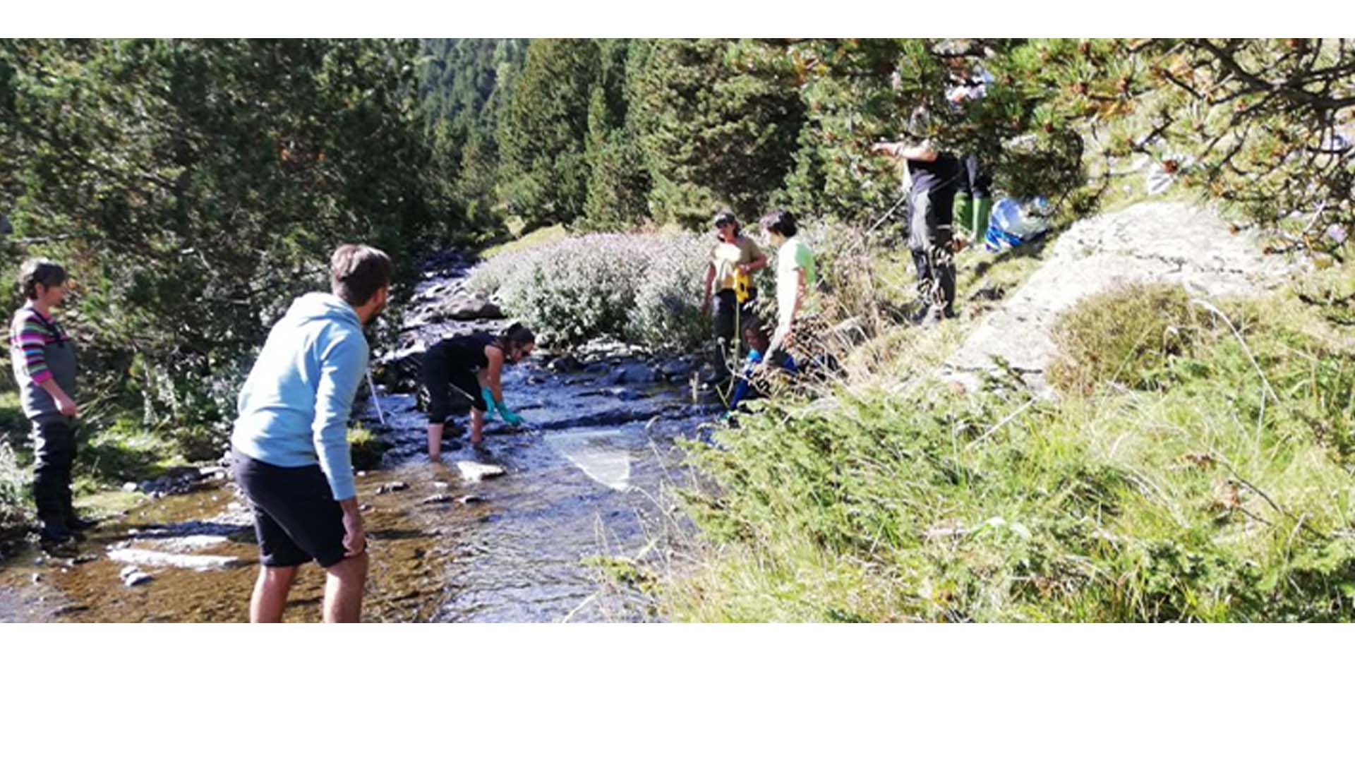 Contribució de les entitats excursionistes a la reducció de la contaminació per plàstics als ecosistemes de muntanya
