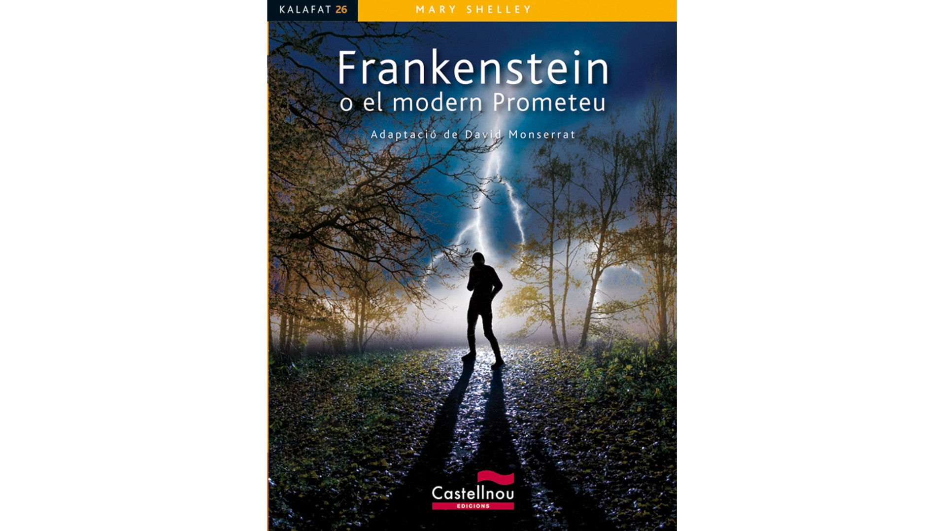 Comentari de Frankenstein o el modern Prometeu, de Mary Shelley