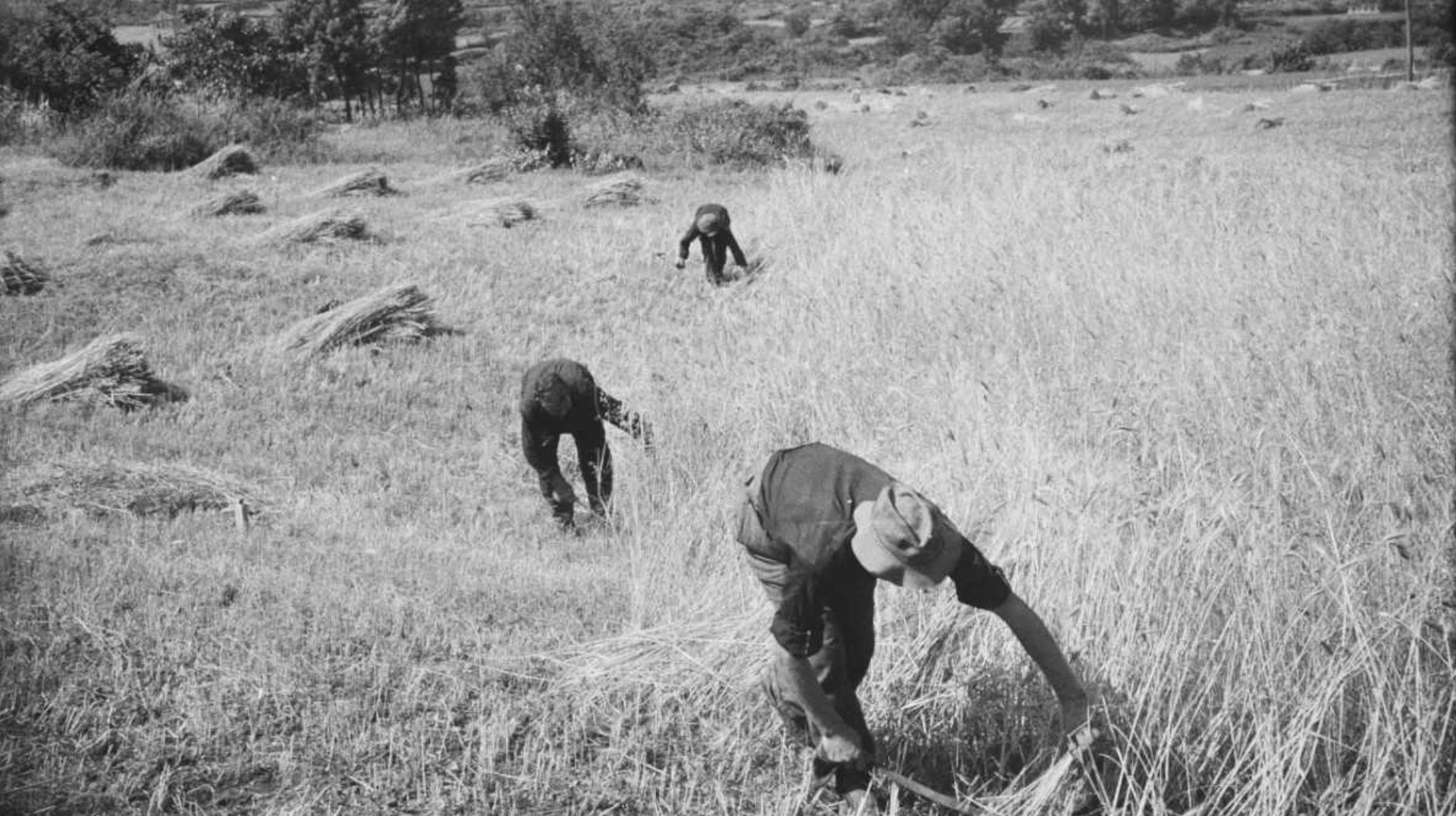 Els delmes i les parròquies de la Garrotxa entre l’Edat Mitjana i l’Època Moderna