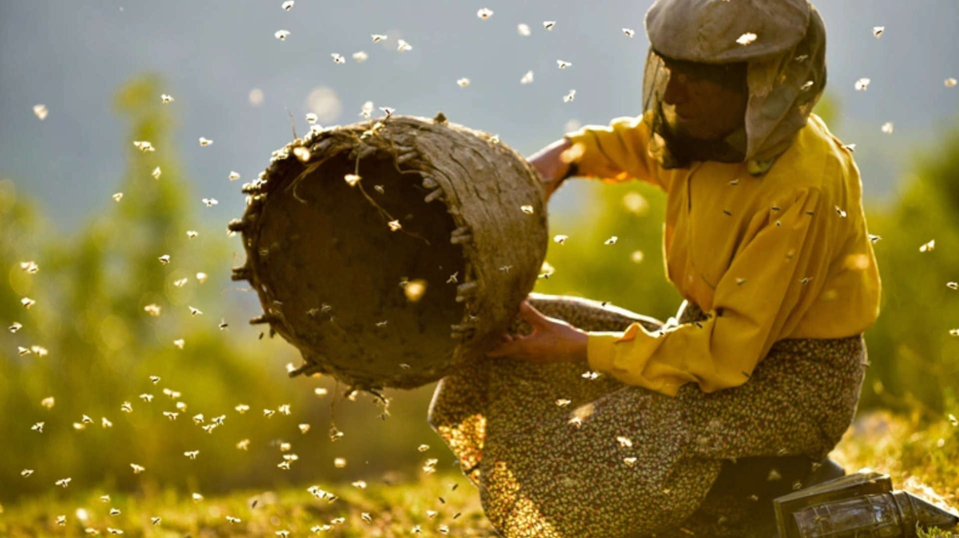 Projecció de ‘Honeyland’