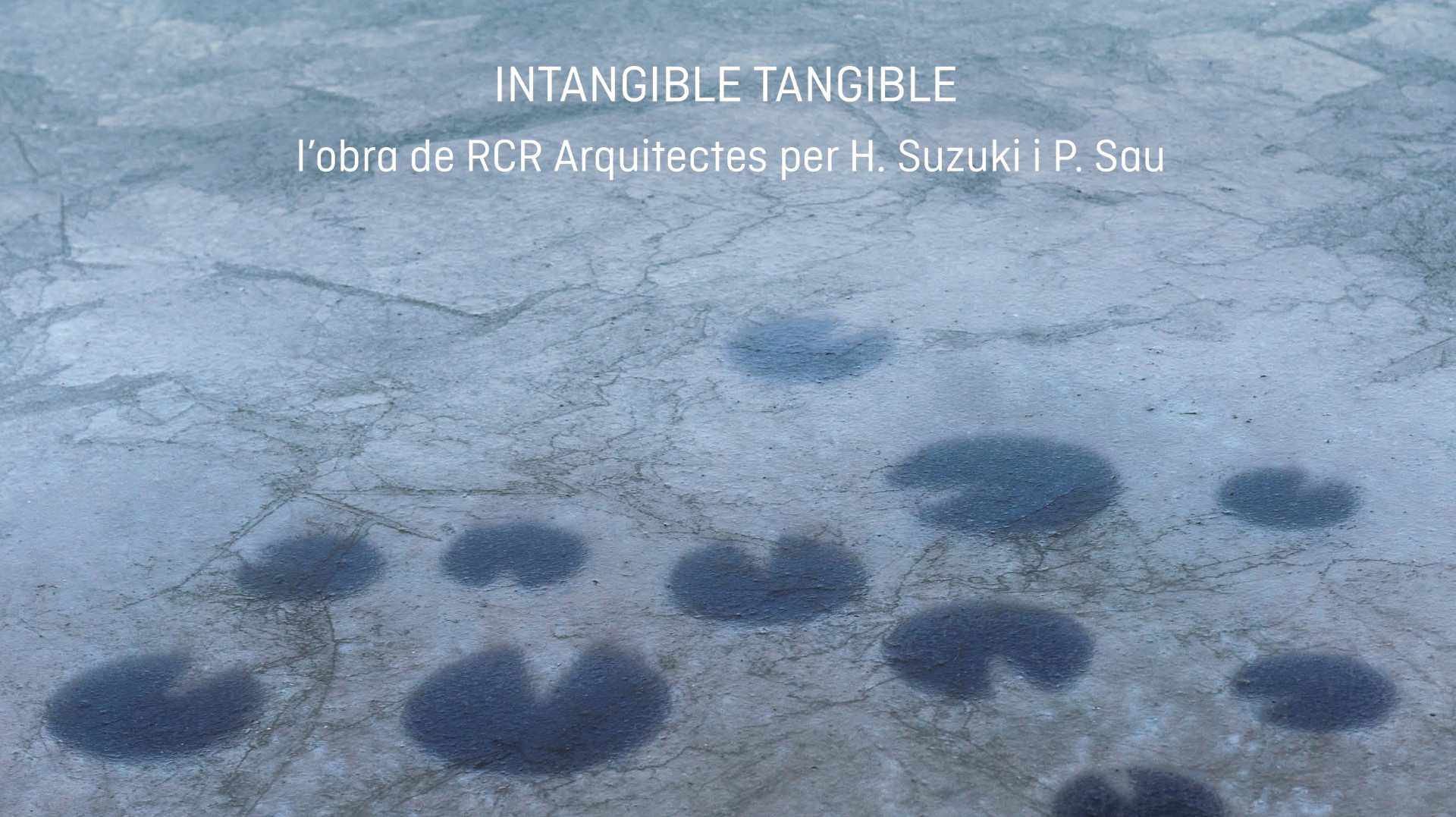 Exposició fotogràfica de RCR Arquitectes
