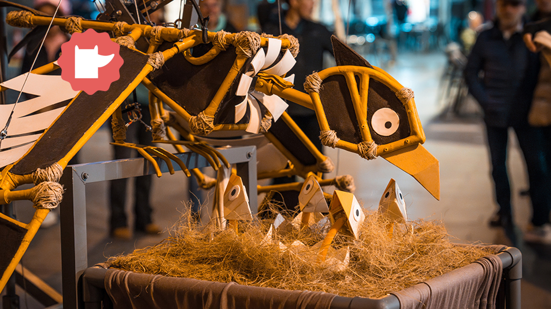Festival Entranyes: Kuntur