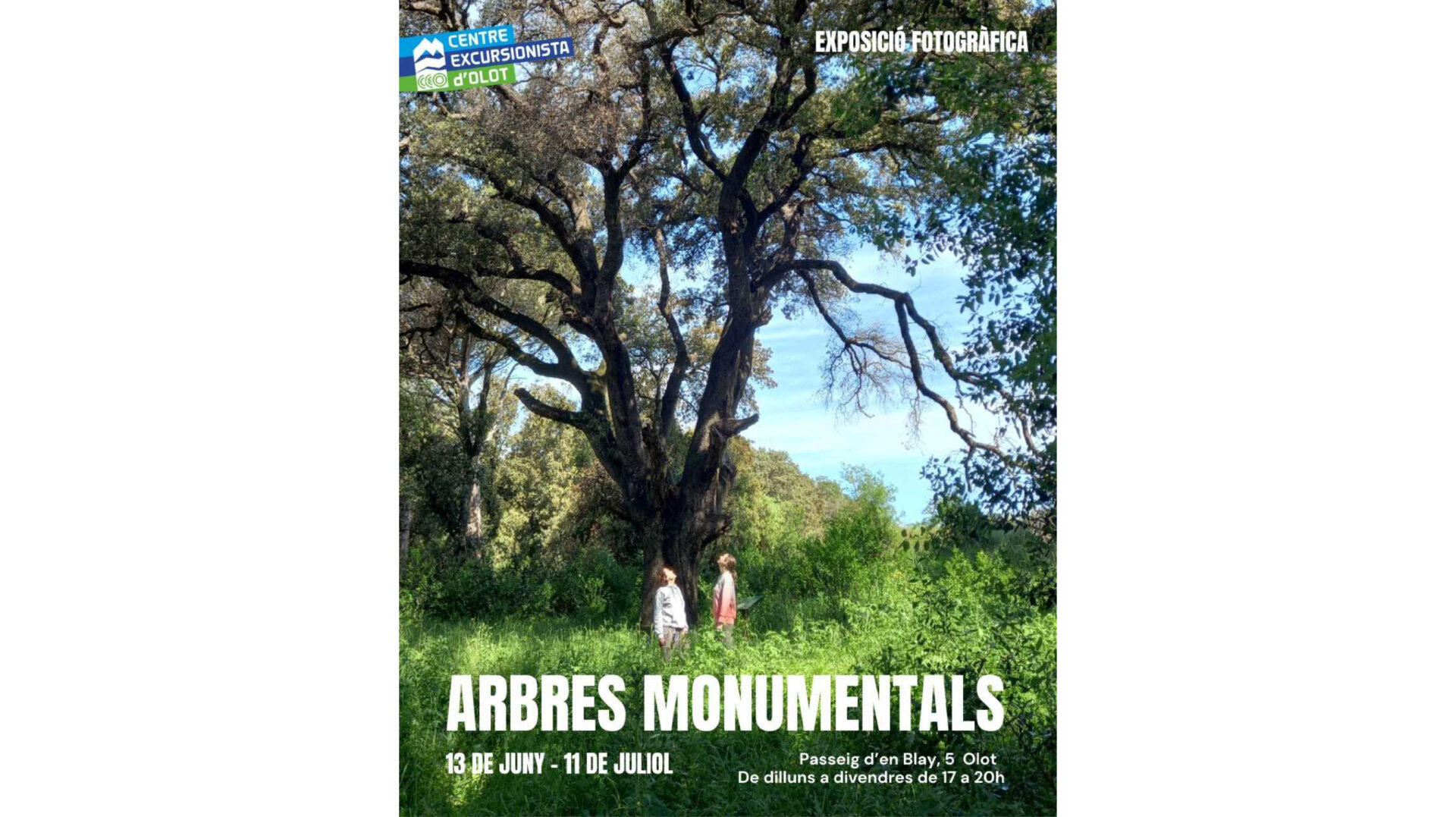 Exposició dels arbres monumentals