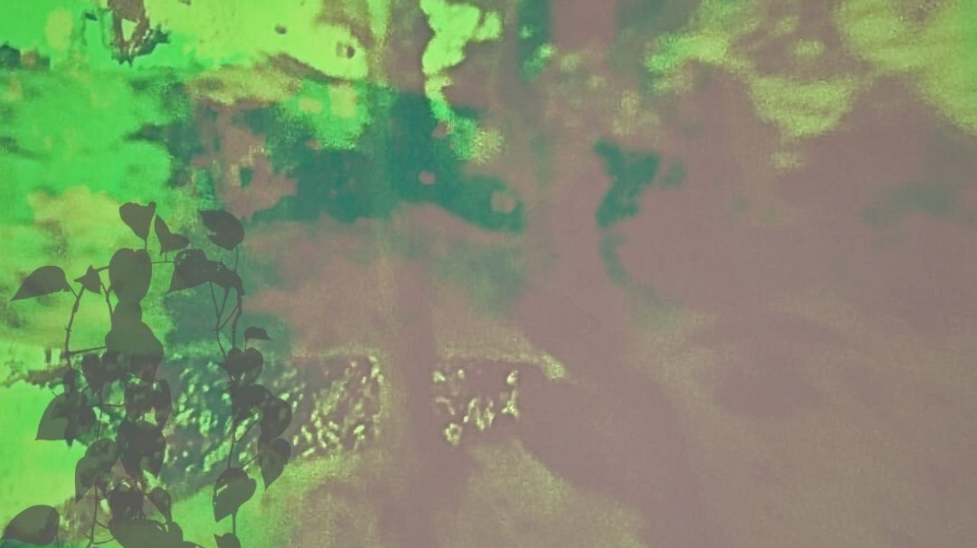 QUÈ BALLA QUAN PLANTEM UN ARBRE?