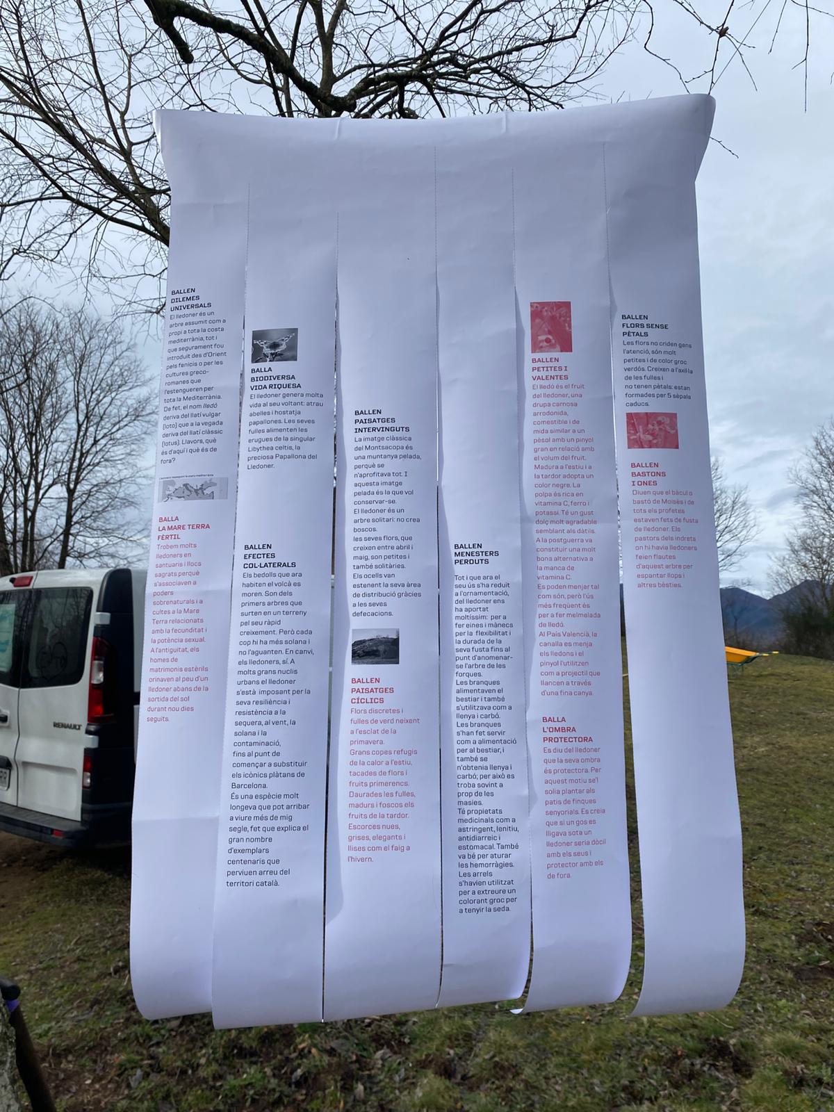 WhatsApp Image 2026-02-01 at 11.29.20 (1) Què Balla Quan Plantem un Arbre? - Sismo