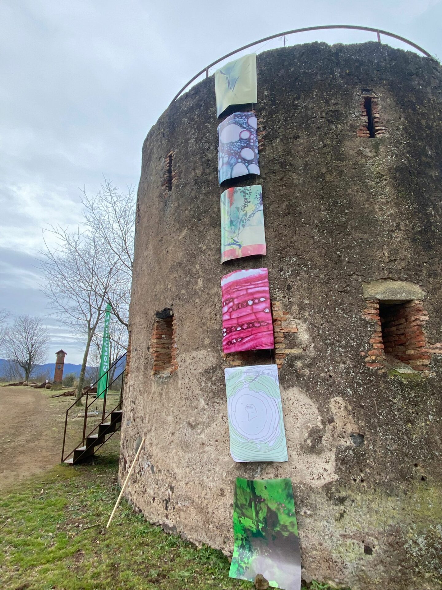 Què Balla Quan Plantem un Arbre? – Sismo