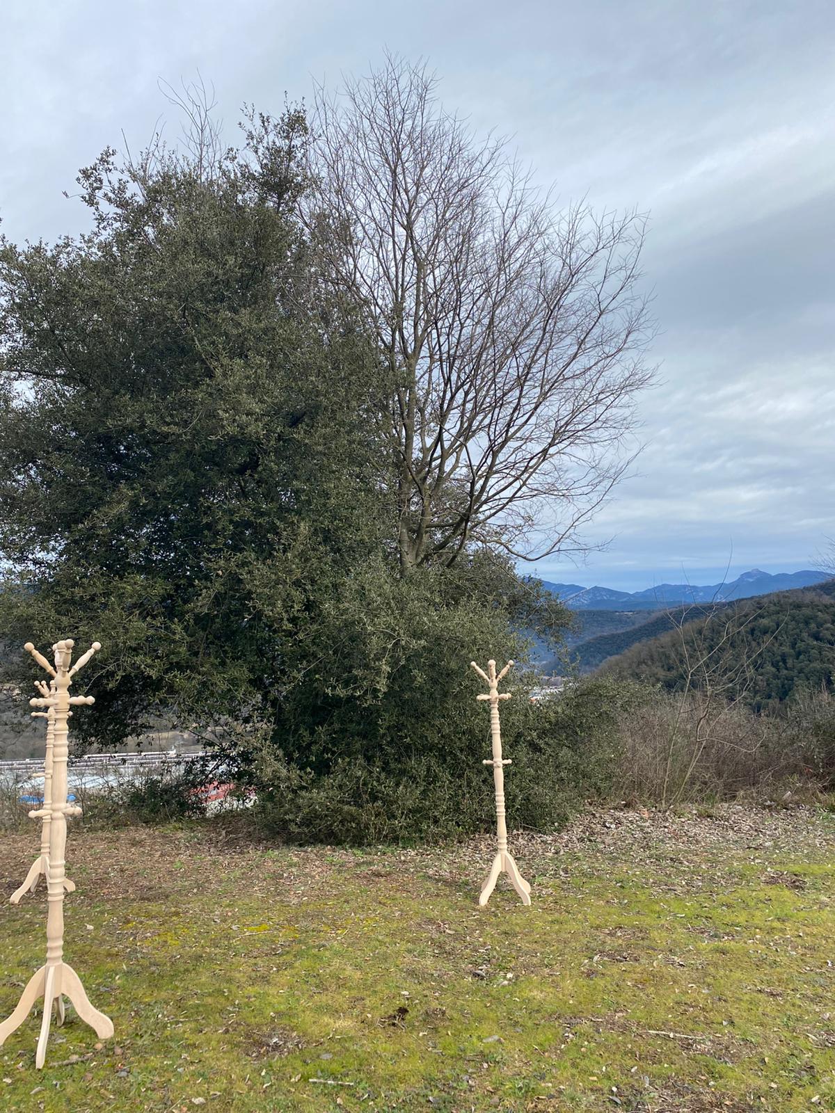 Què Balla Quan Plantem un Arbre? – Sismo