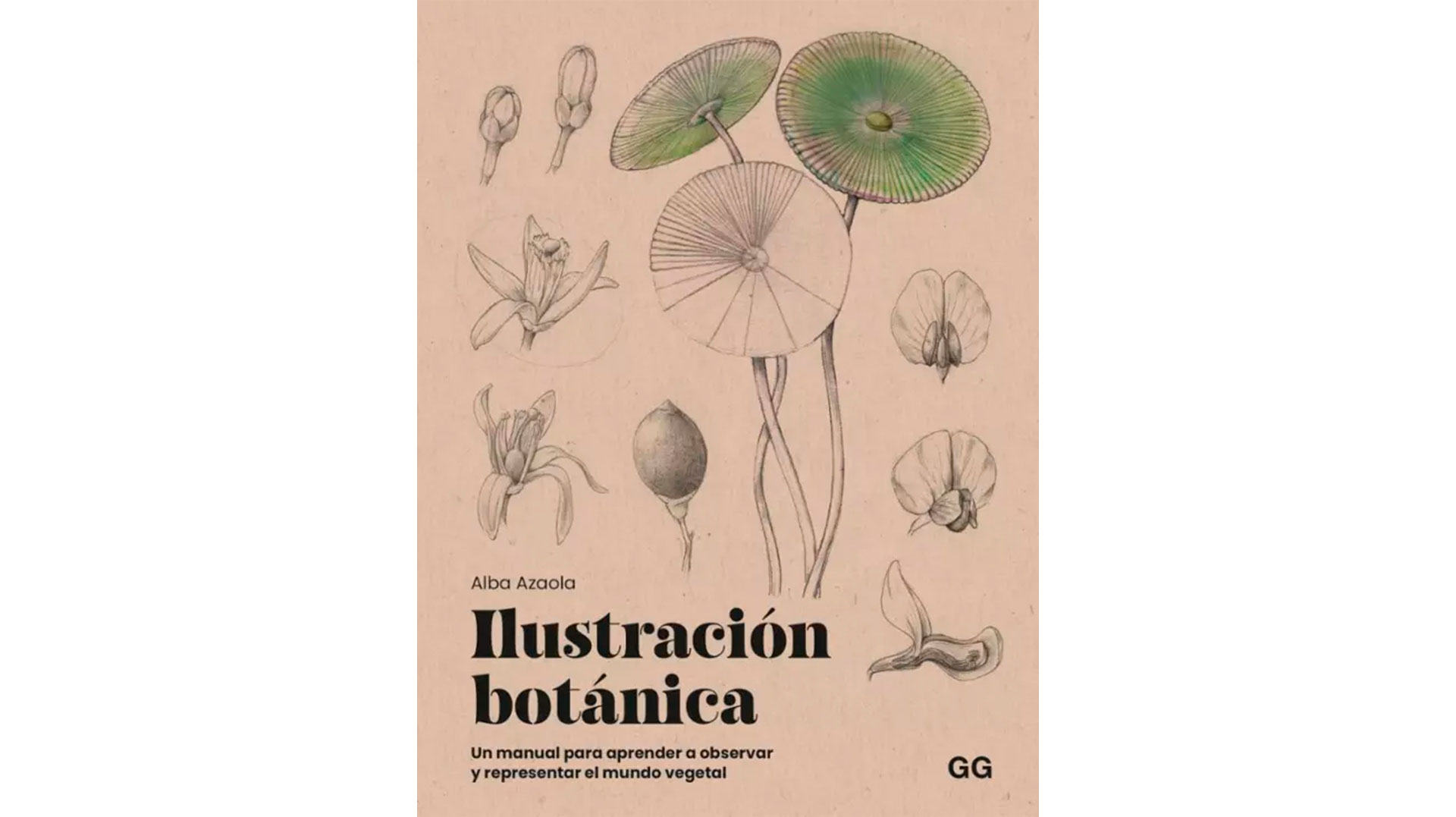 Il·lustració botànica, un manual per aprendre a observar i dibuixar
