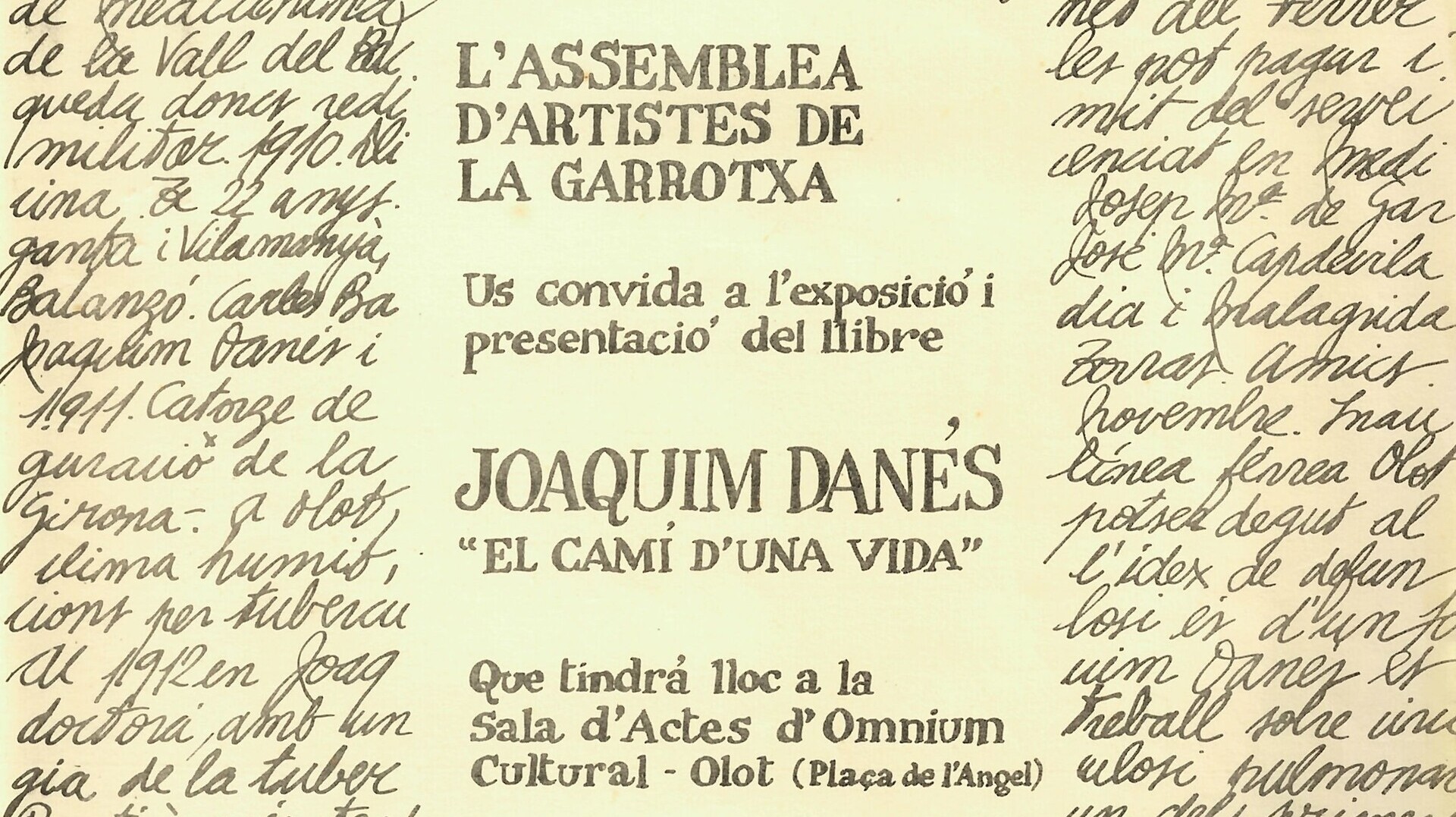 Assemblea artistes garrotxa