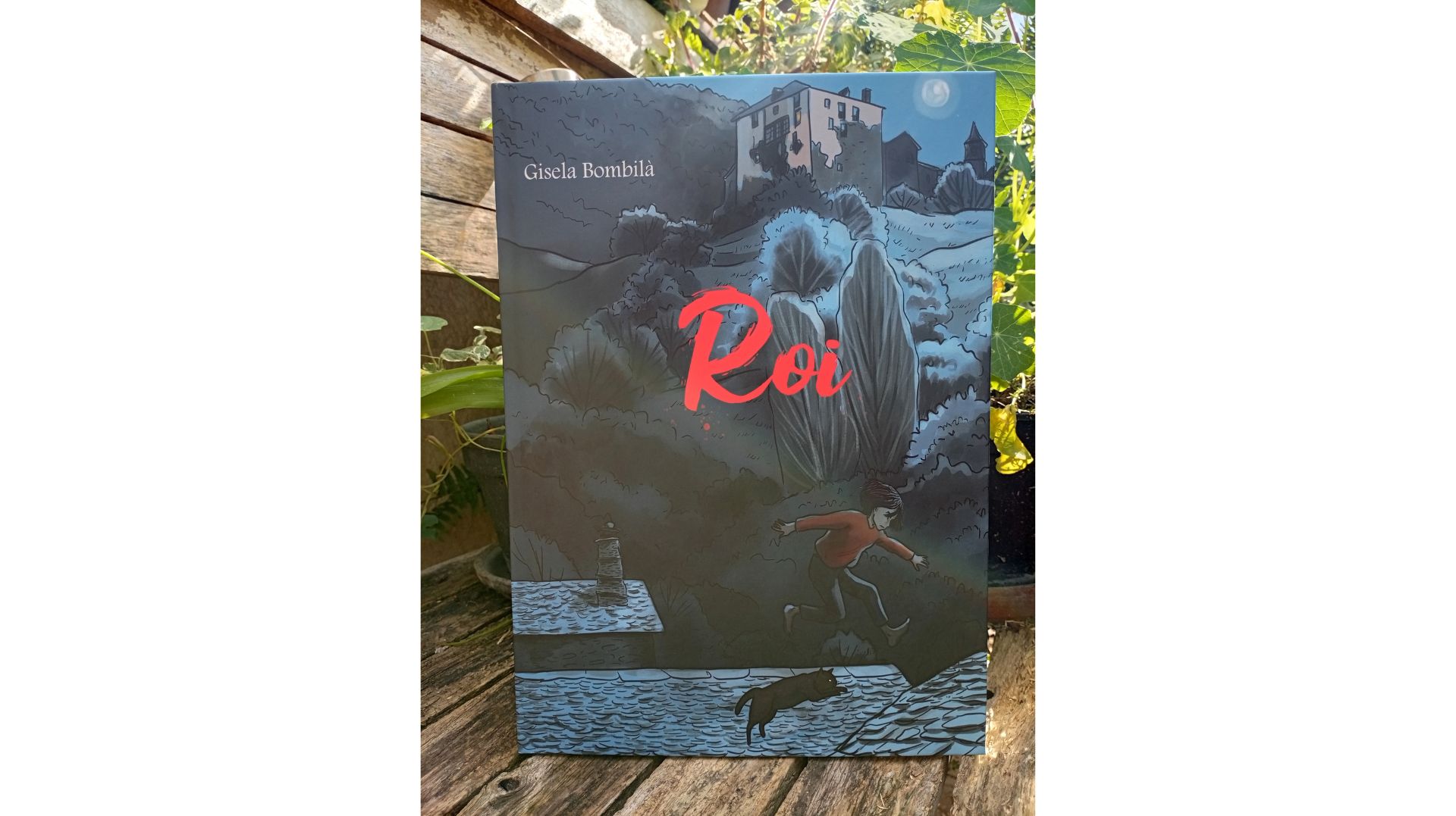 Presentació de la novel·la il·lustrada “Roi”